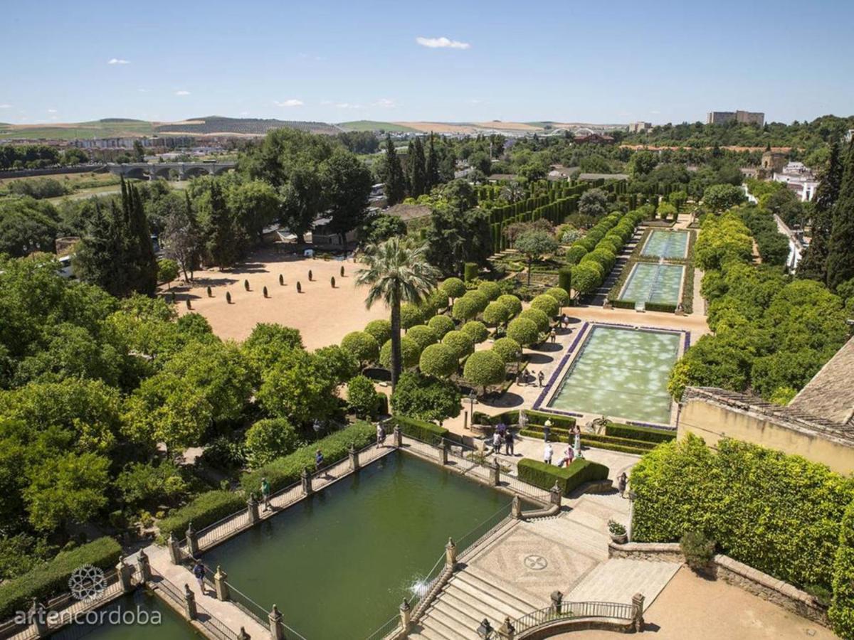 Centrico Jardines De Vallellano Apartament *
